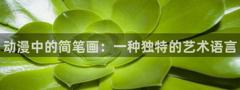 动漫大全网