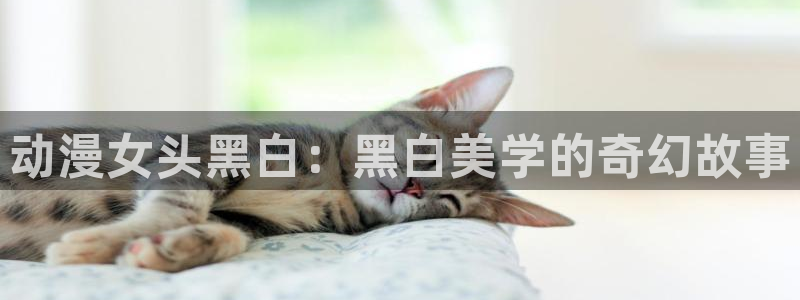 动漫热门推荐