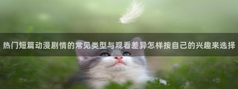 运动动漫