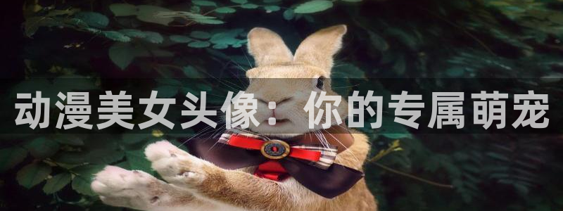日本动画大全