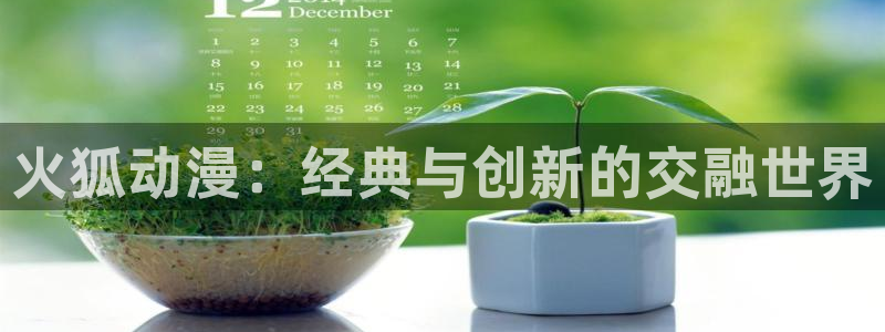 动漫评分