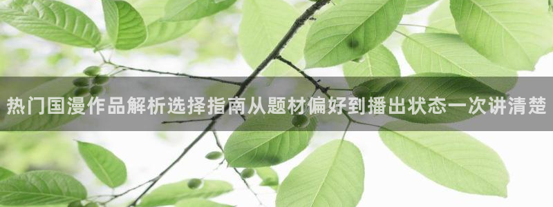 经典动画推荐
