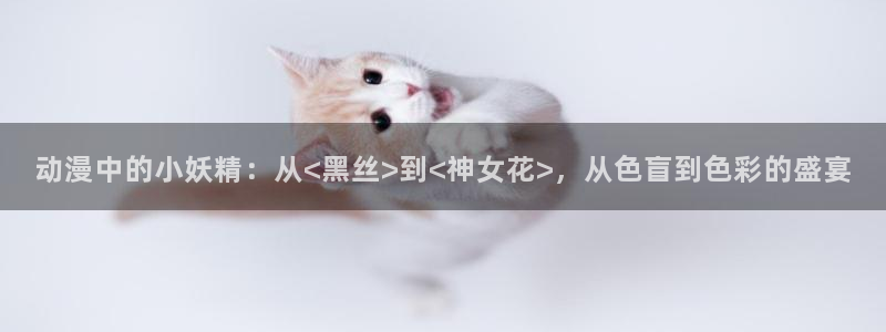 动漫角色大全