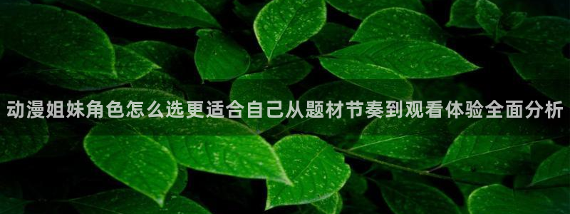 动漫最新更新