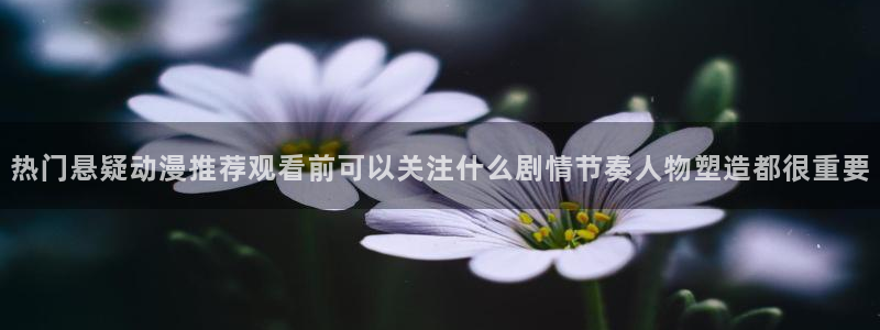 新番动漫排行