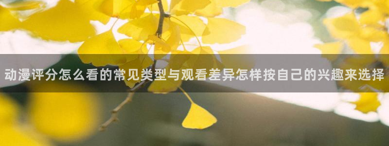 动漫网站大全