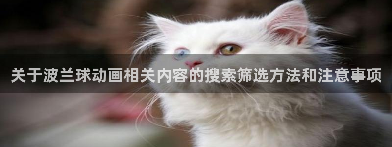 新番动画推荐
