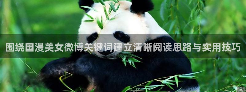 国产动漫排行