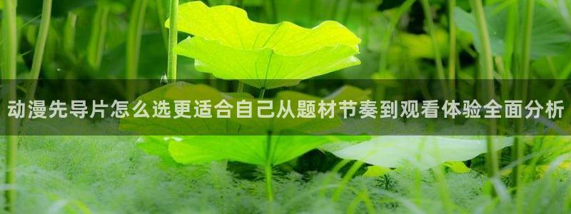 动漫番剧推荐