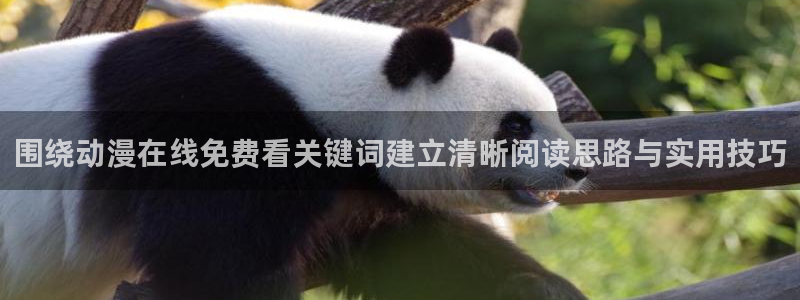 运动动漫