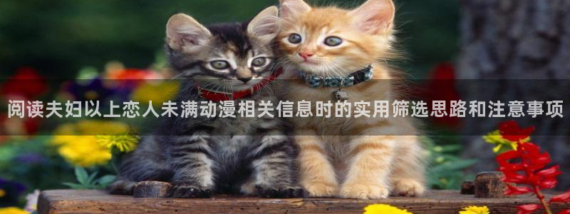 最新新番