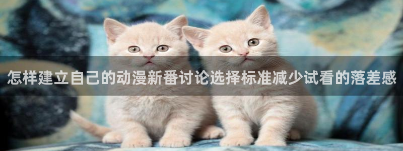 新番动漫大全：怎样建立自己的动漫新番讨论选择标准减少试看的落差感